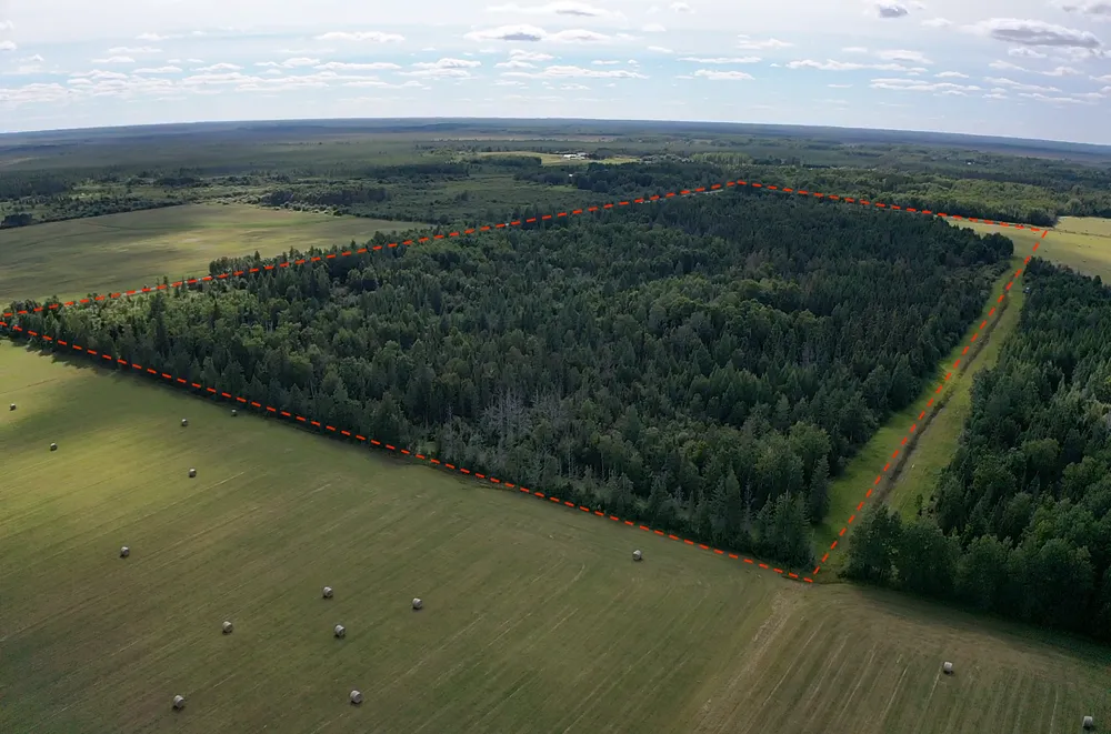 TBD Saralampi Road Toivola, MN 55765