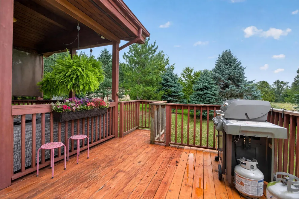 25731 S Dr S Homer, MI 49245
