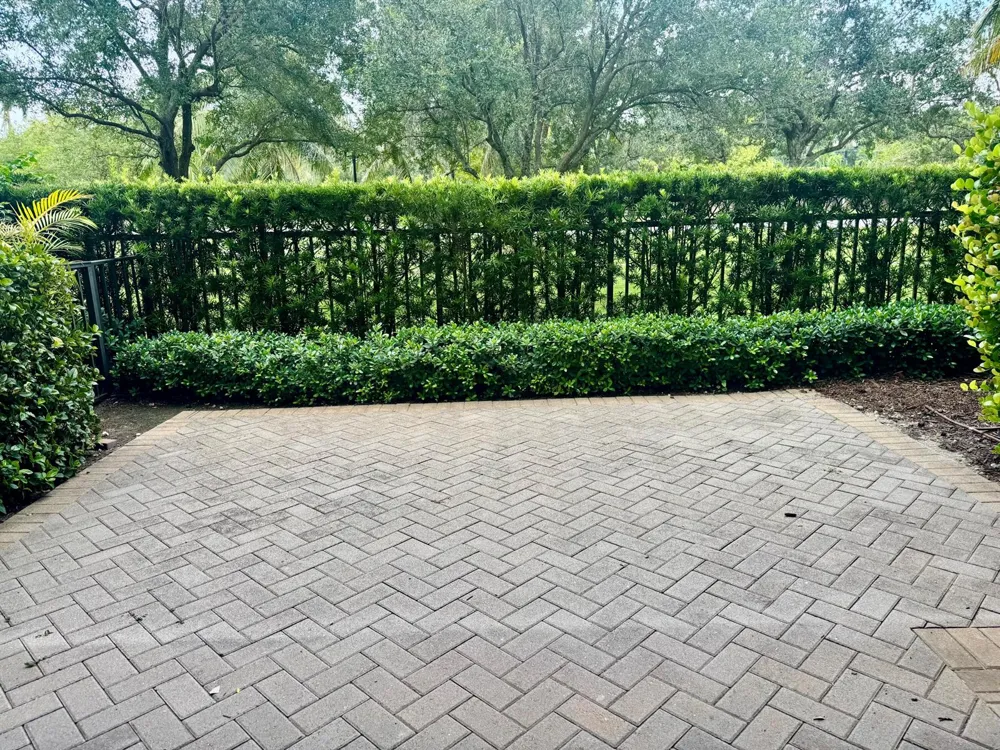 2950 NW 124th Way Sunrise, FL 33323