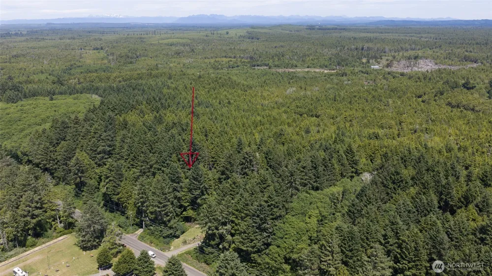 2782 State Rt 109 Ocean Shores, WA 98569