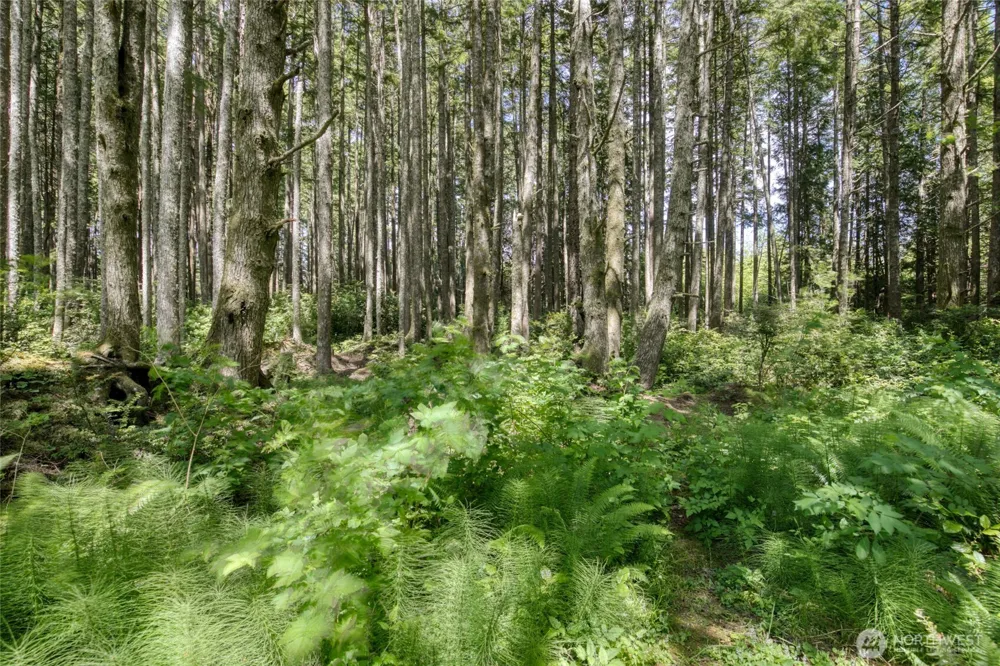 2782 State Rt 109 Ocean Shores, WA 98569