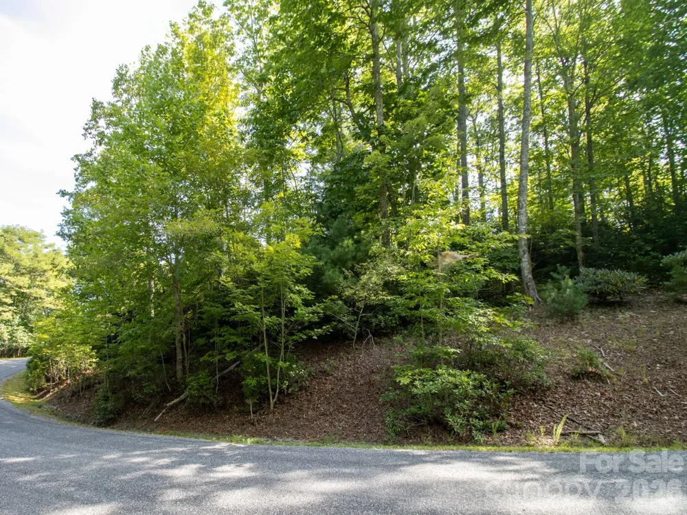 TBD Kelly Mountain Road #19 Brevard, NC 28712