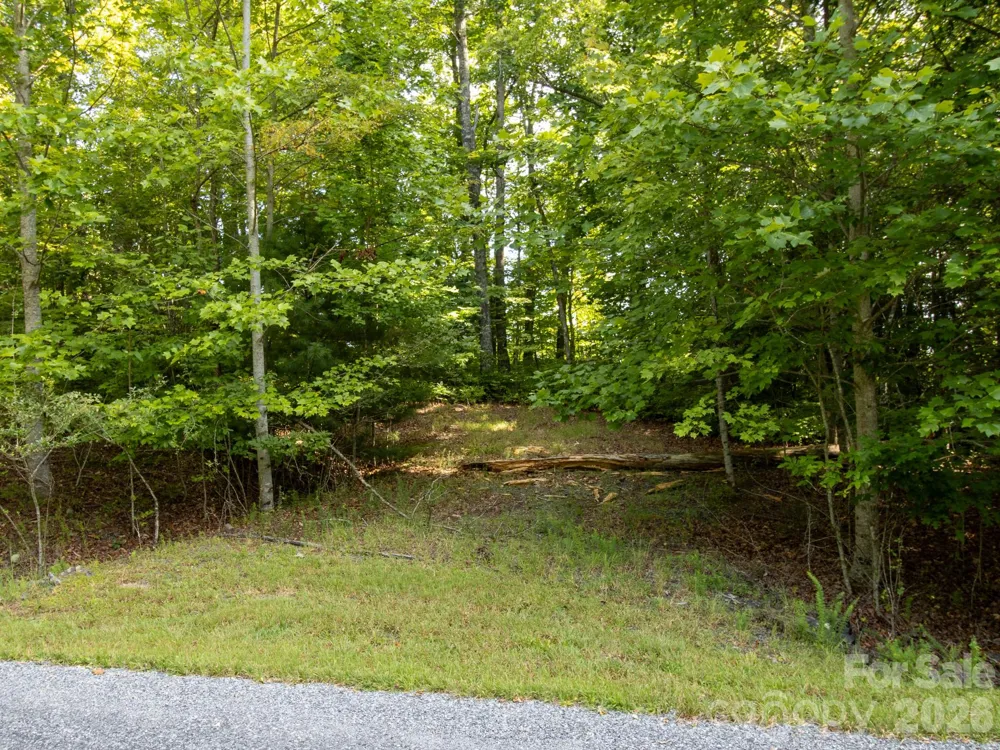 TBD Kelly Mountain Road #19 Brevard, NC 28712