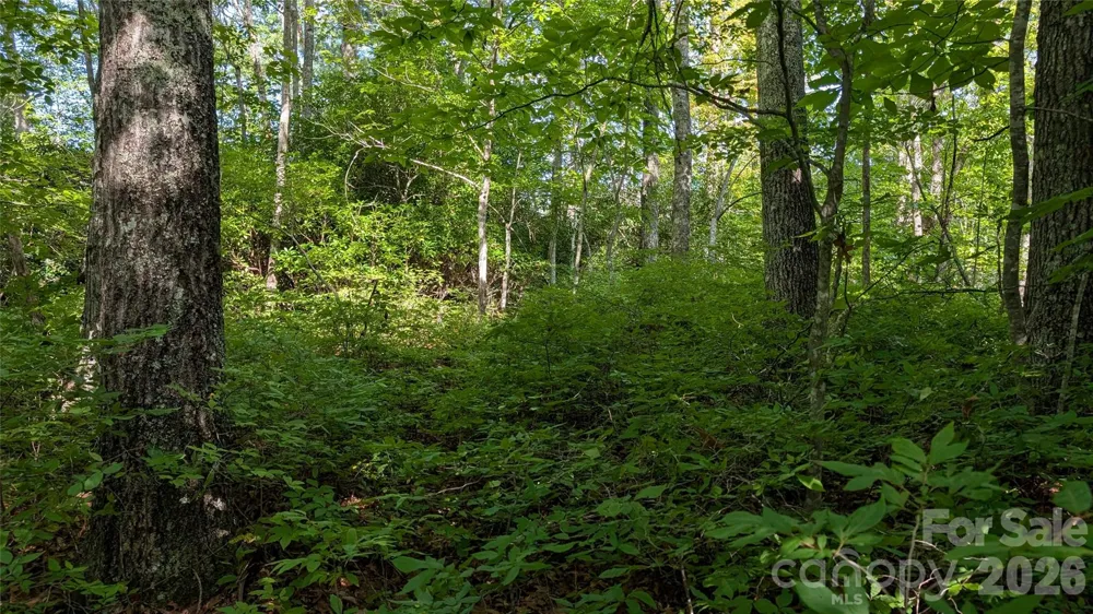 TBD Kelly Mountain Road #19 Brevard, NC 28712