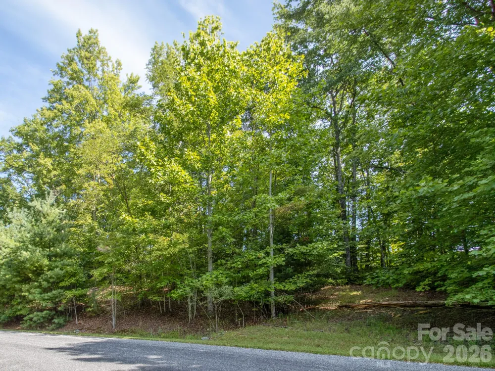 TBD Kelly Mountain Road #19 Brevard, NC 28712