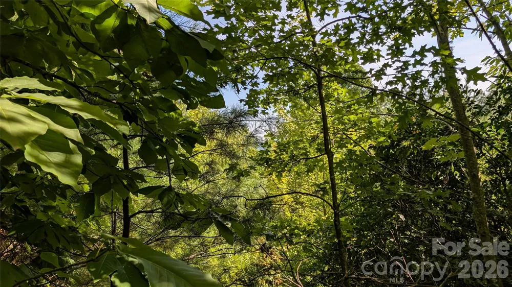 TBD Kelly Mountain Road #19 Brevard, NC 28712