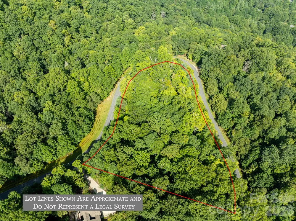 TBD Kelly Mountain Road #19 Brevard, NC 28712