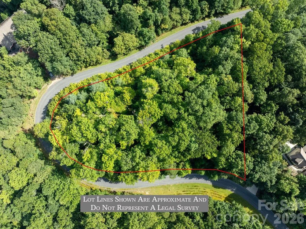 TBD Kelly Mountain Road #19 Brevard, NC 28712