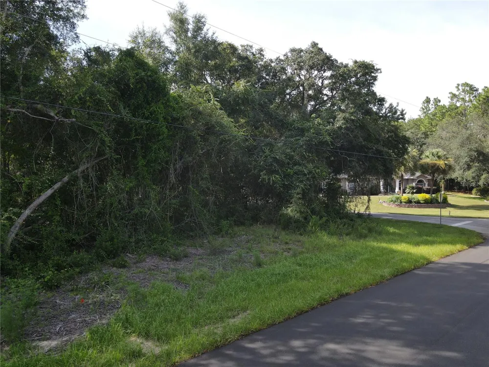 Address Not Shown Citrus Springs, FL 34434