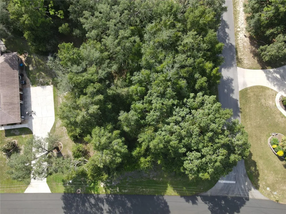Address Not Shown Citrus Springs, FL 34434