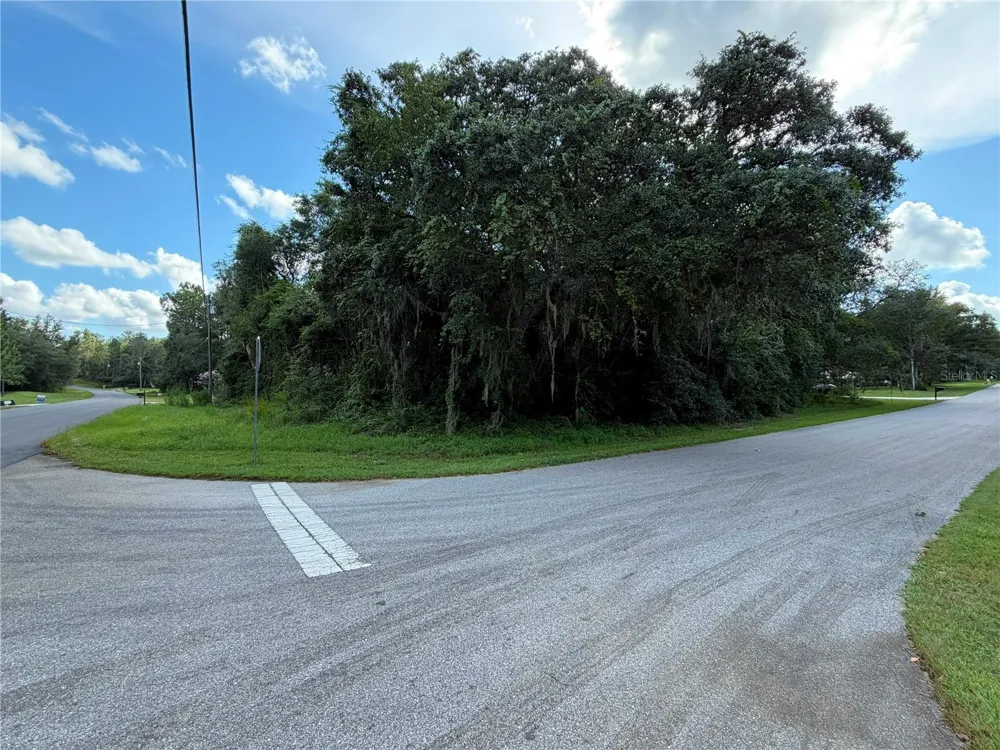 Address Not Shown Citrus Springs, FL 34434
