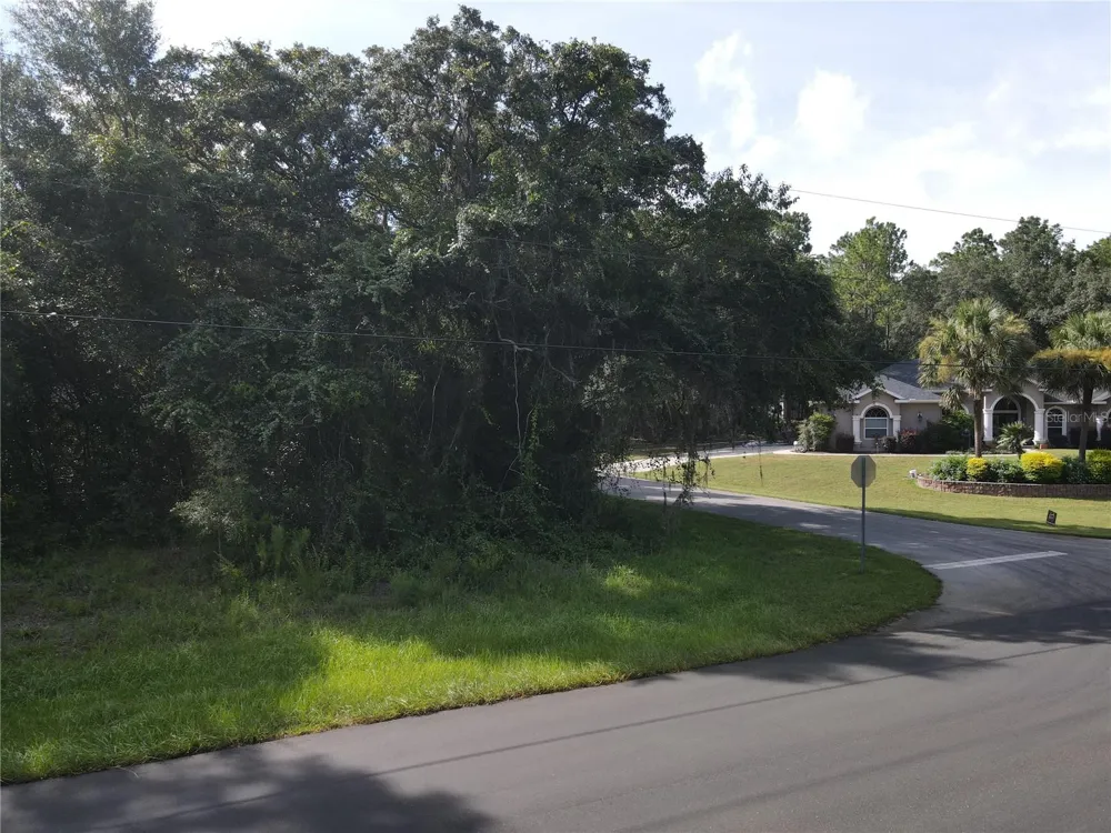 Address Not Shown Citrus Springs, FL 34434