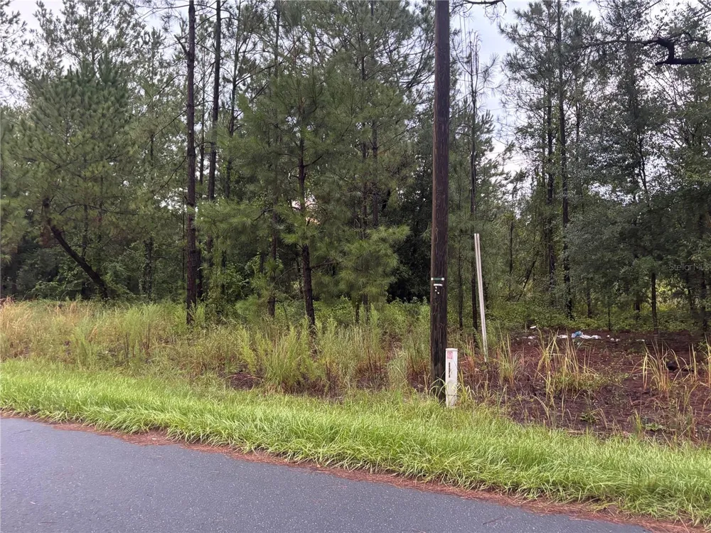 BLK 1122 LOT 13 ocala, FL 34472