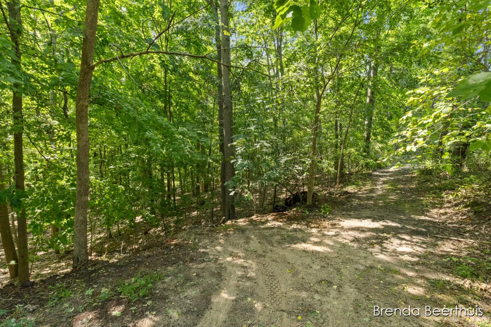 11301 108th Street SE Bowne Township, MI 49325
