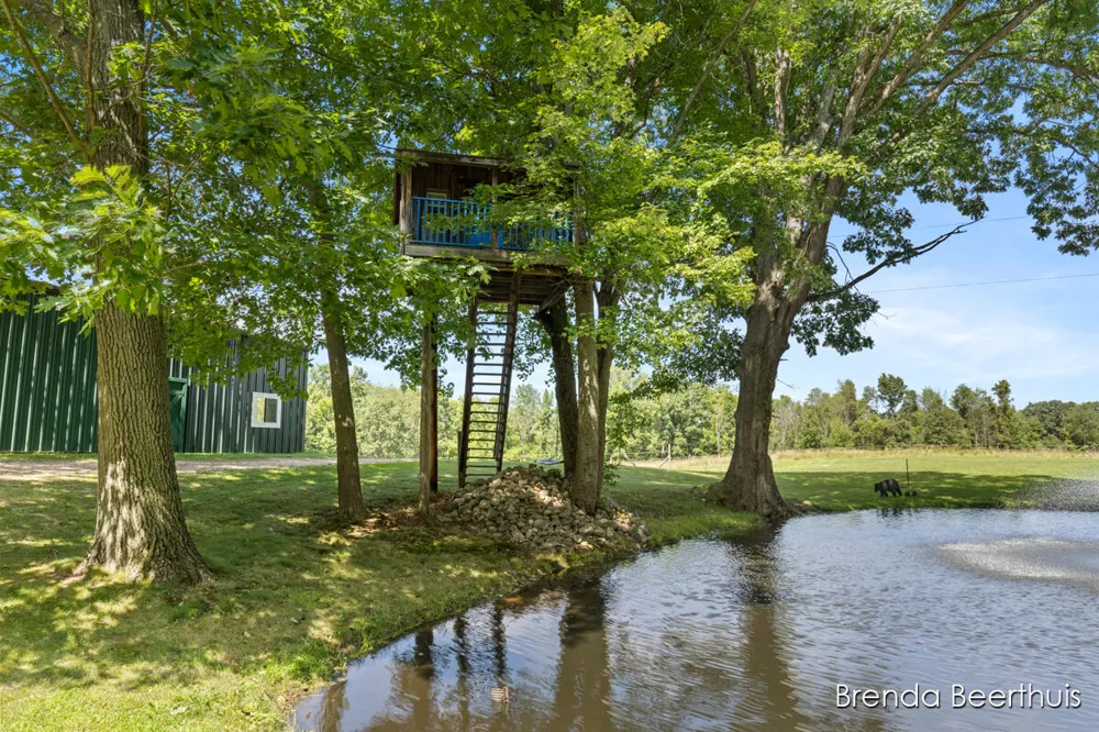 11301 108th Street SE Bowne Township, MI 49325
