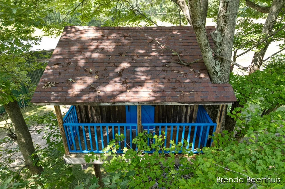 11301 108th Street SE Bowne Township, MI 49325