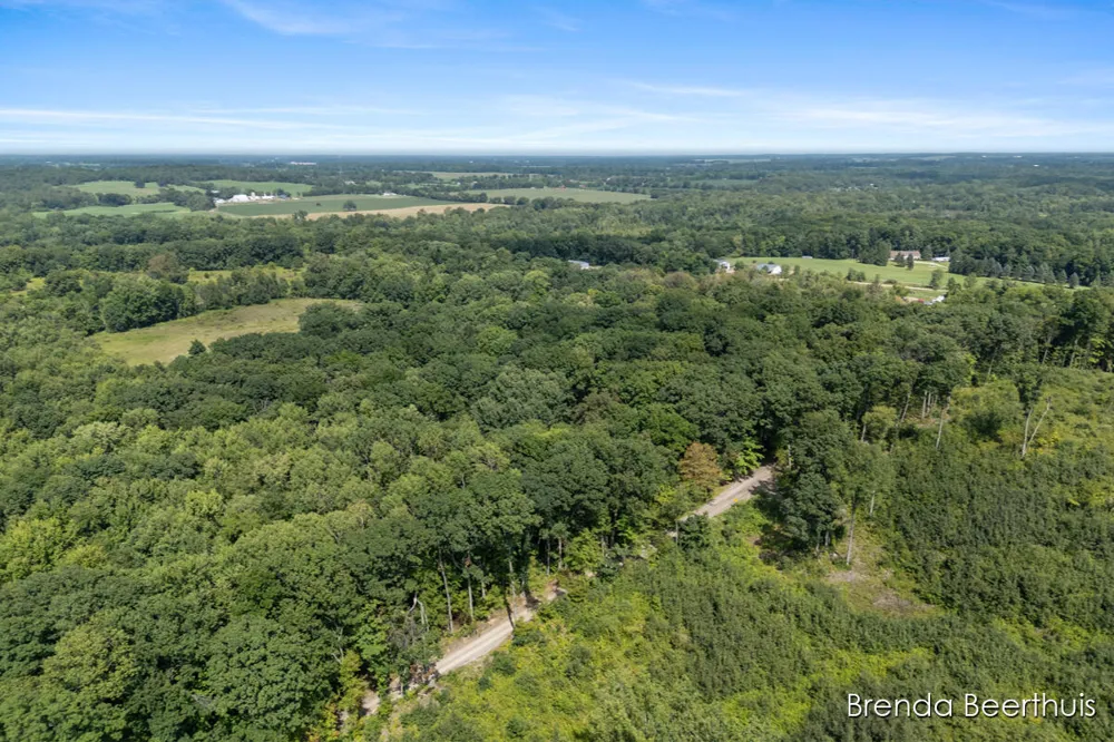 11301 108th Street SE Bowne Township, MI 49325