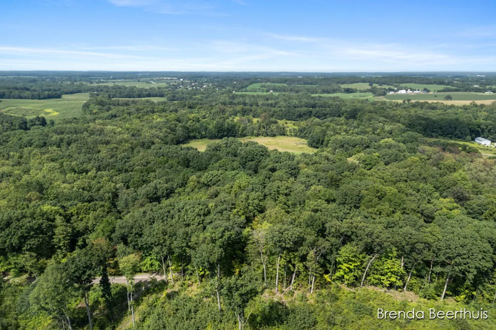 11301 108th Street SE Bowne Township, MI 49325