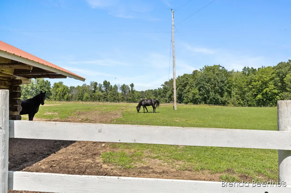 11301 108th Street SE Bowne Township, MI 49325