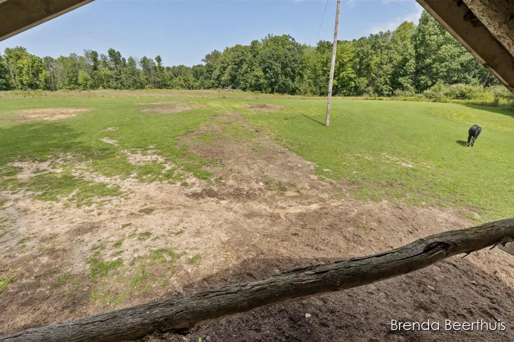 11301 108th Street SE Bowne Township, MI 49325
