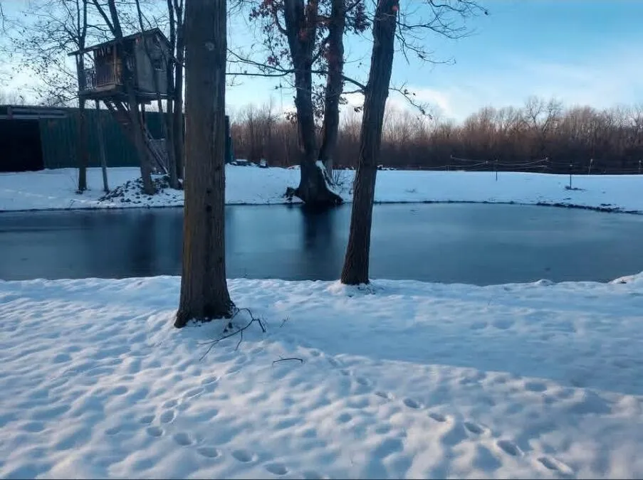 11301 108th Street SE Bowne Township, MI 49325