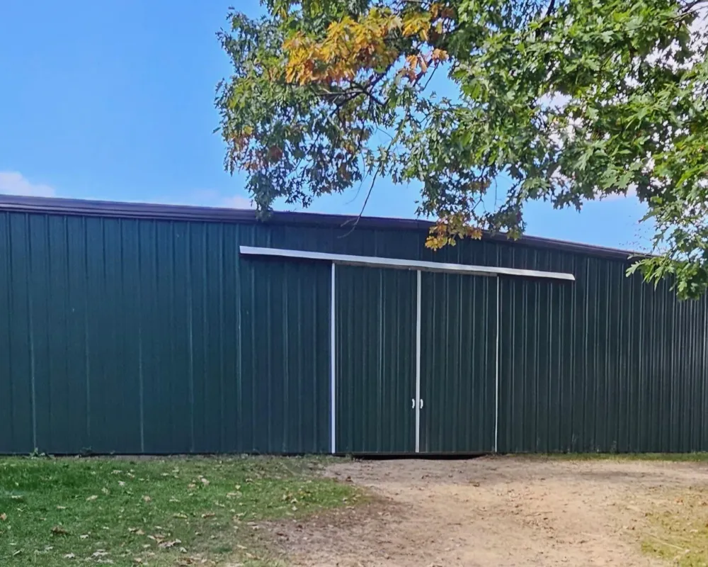 11301 108th Street SE Bowne Township, MI 49325