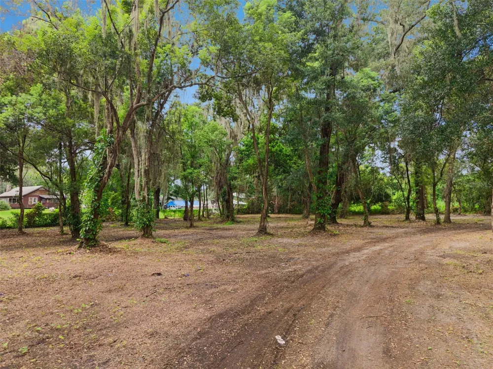 860 E LISA LANE Apopka, FL 32703