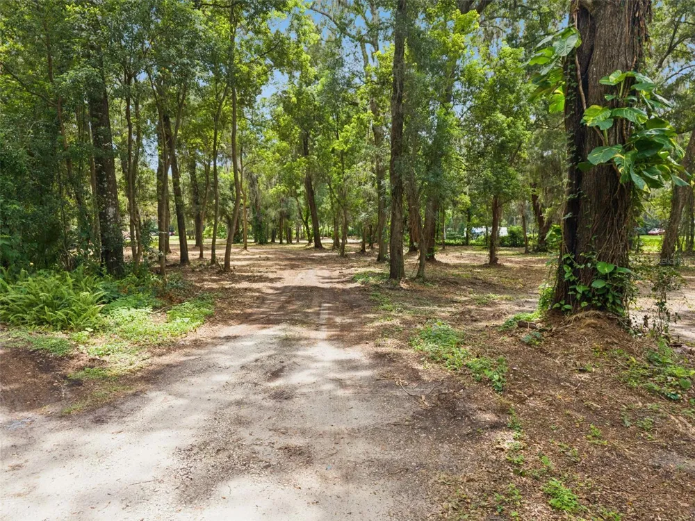 860 E LISA LANE Apopka, FL 32703