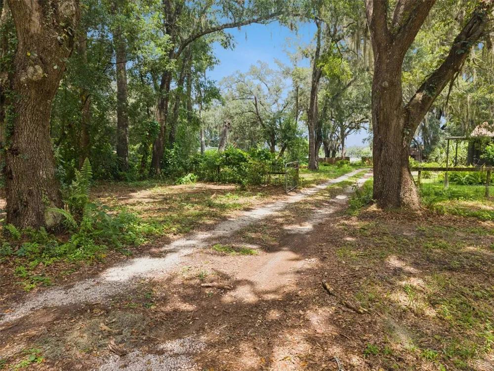 860 E LISA LANE Apopka, FL 32703