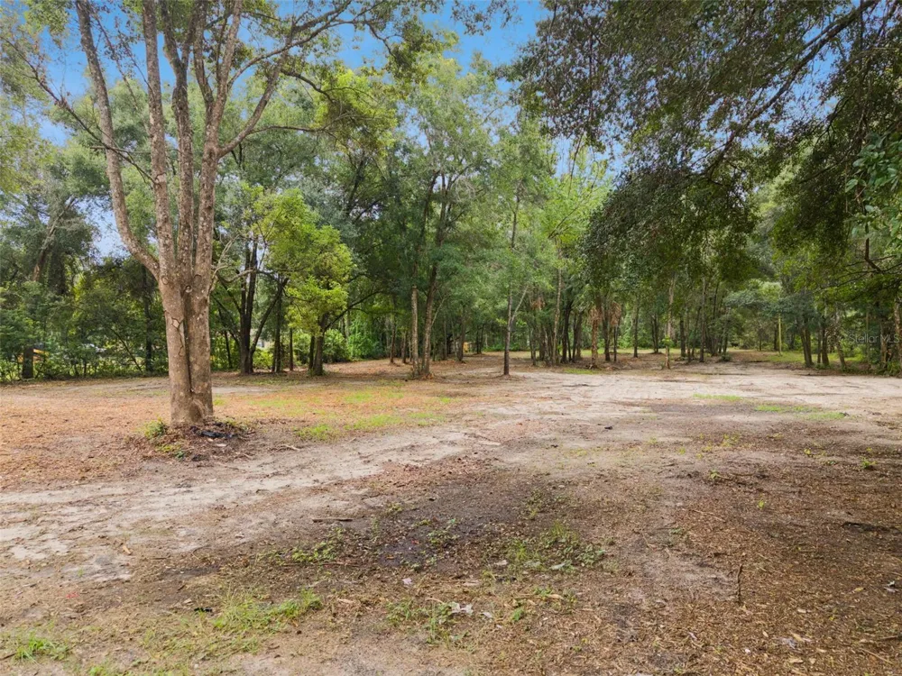 860 E LISA LANE Apopka, FL 32703