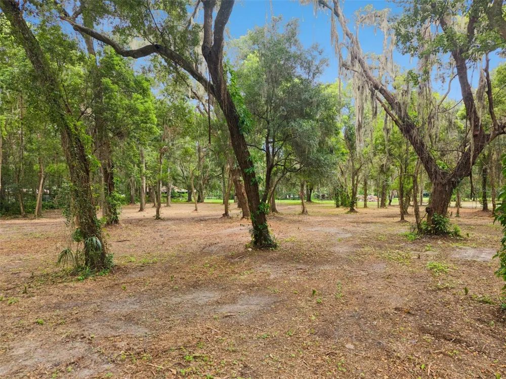 860 E LISA LANE Apopka, FL 32703