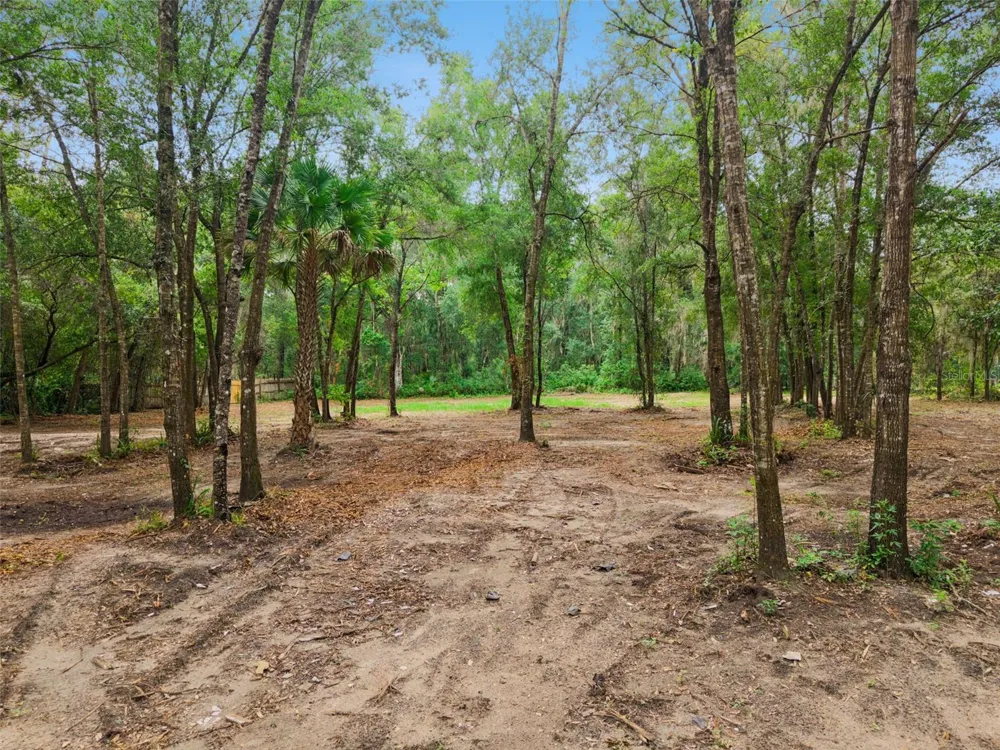 860 E LISA LANE Apopka, FL 32703