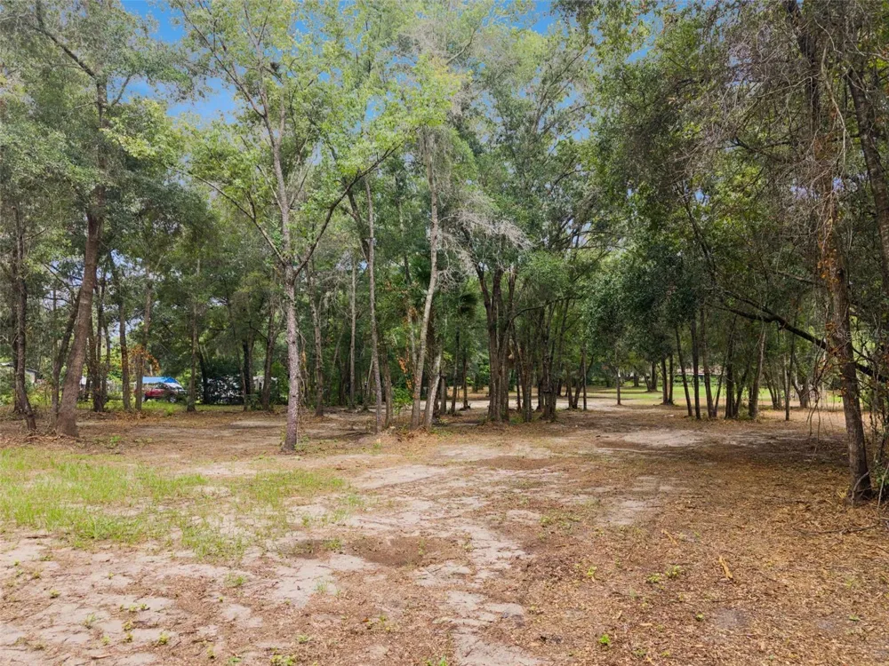 860 E LISA LANE Apopka, FL 32703