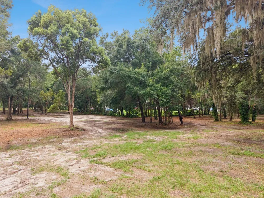 860 E LISA LANE Apopka, FL 32703
