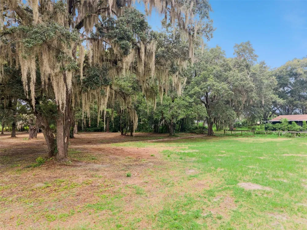860 E LISA LANE Apopka, FL 32703