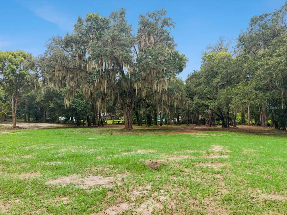 860 E LISA LANE Apopka, FL 32703