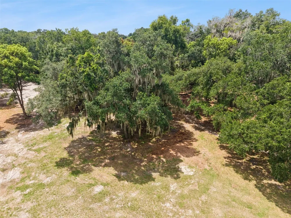 860 E LISA LANE Apopka, FL 32703