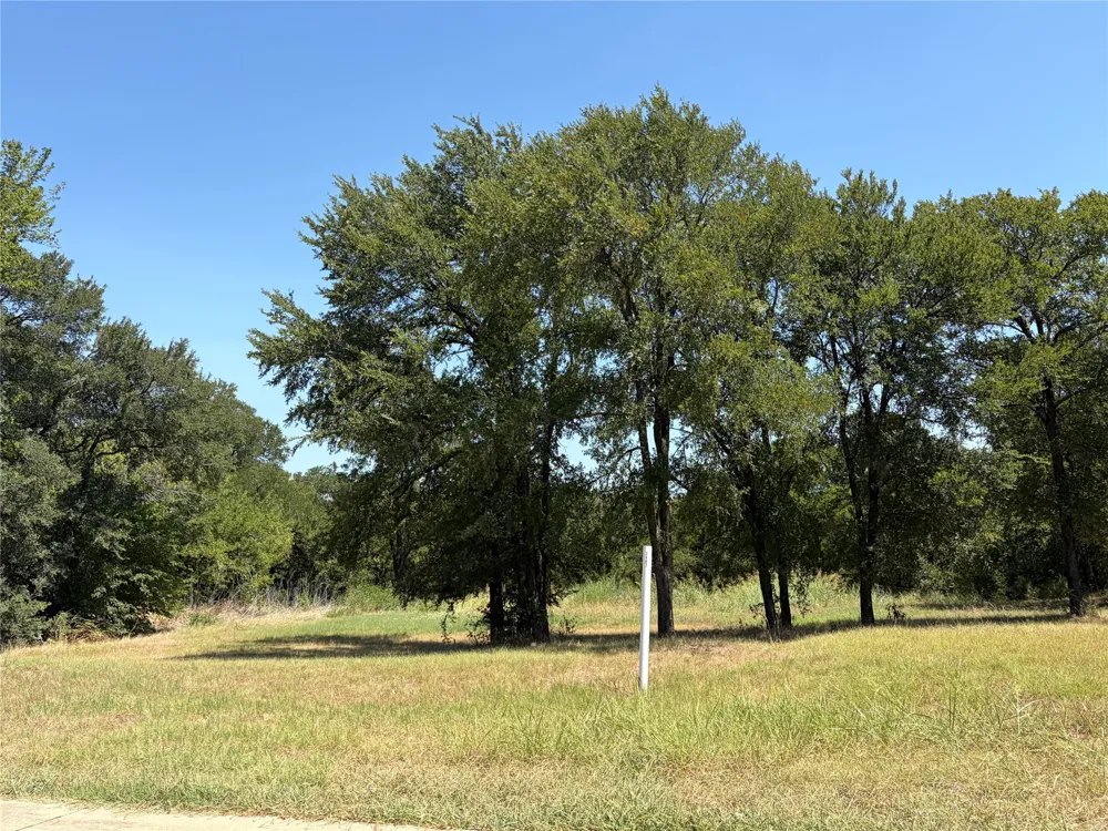 2487 Creekwood Drive Cedar Hill, TX 75104