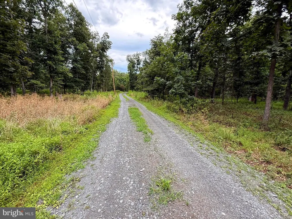 6859 US HIGHWAY 220 Old Fields, WV 26845