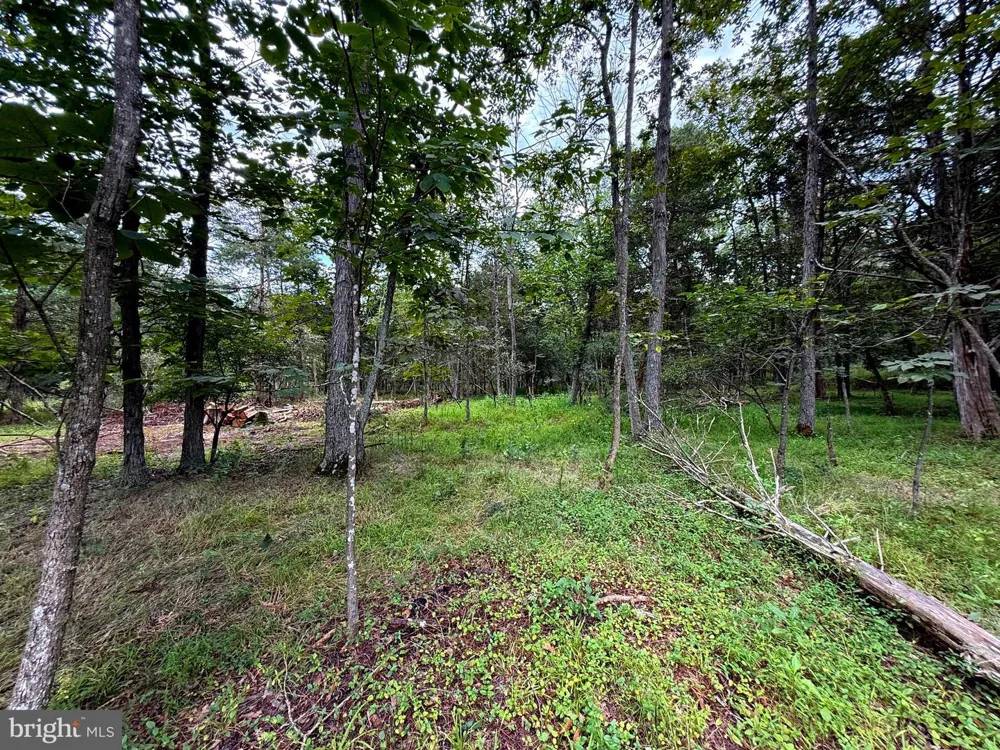 6859 US HIGHWAY 220 Old Fields, WV 26845