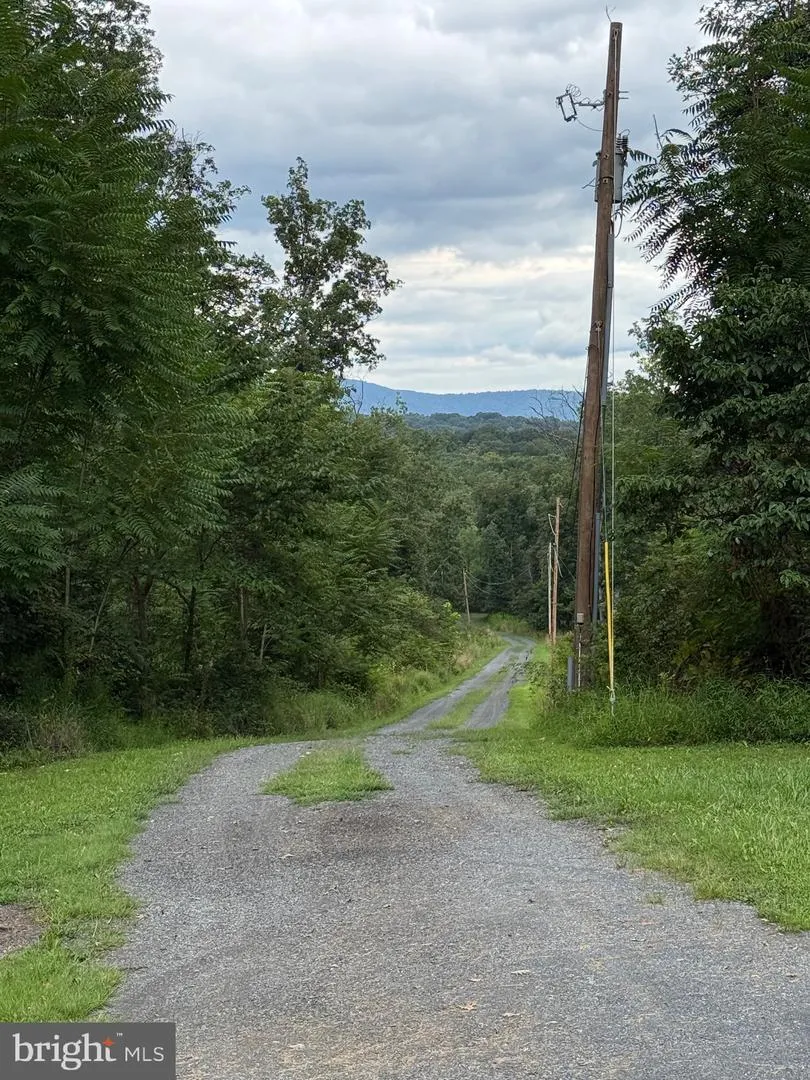 6859 US HIGHWAY 220 Old Fields, WV 26845