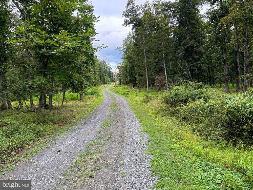 6859 US HIGHWAY 220 Old Fields, WV 26845