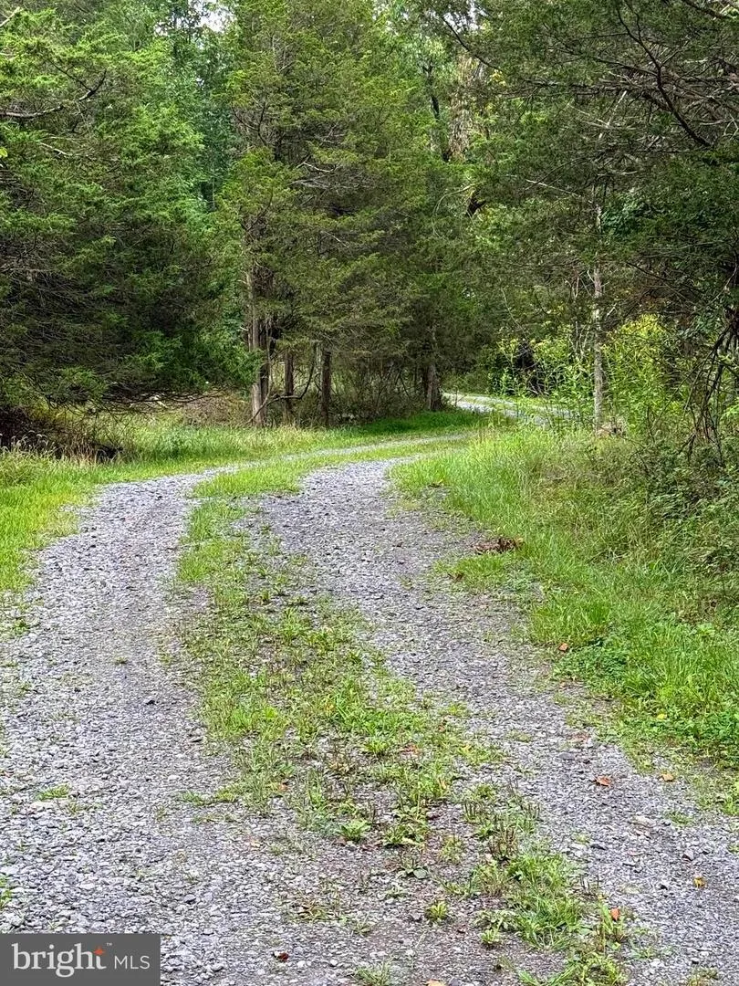 6859 US HIGHWAY 220 Old Fields, WV 26845