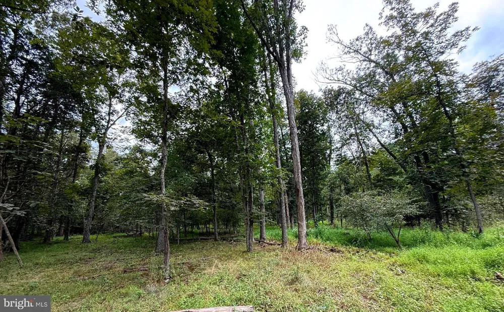6859 US HIGHWAY 220 Old Fields, WV 26845