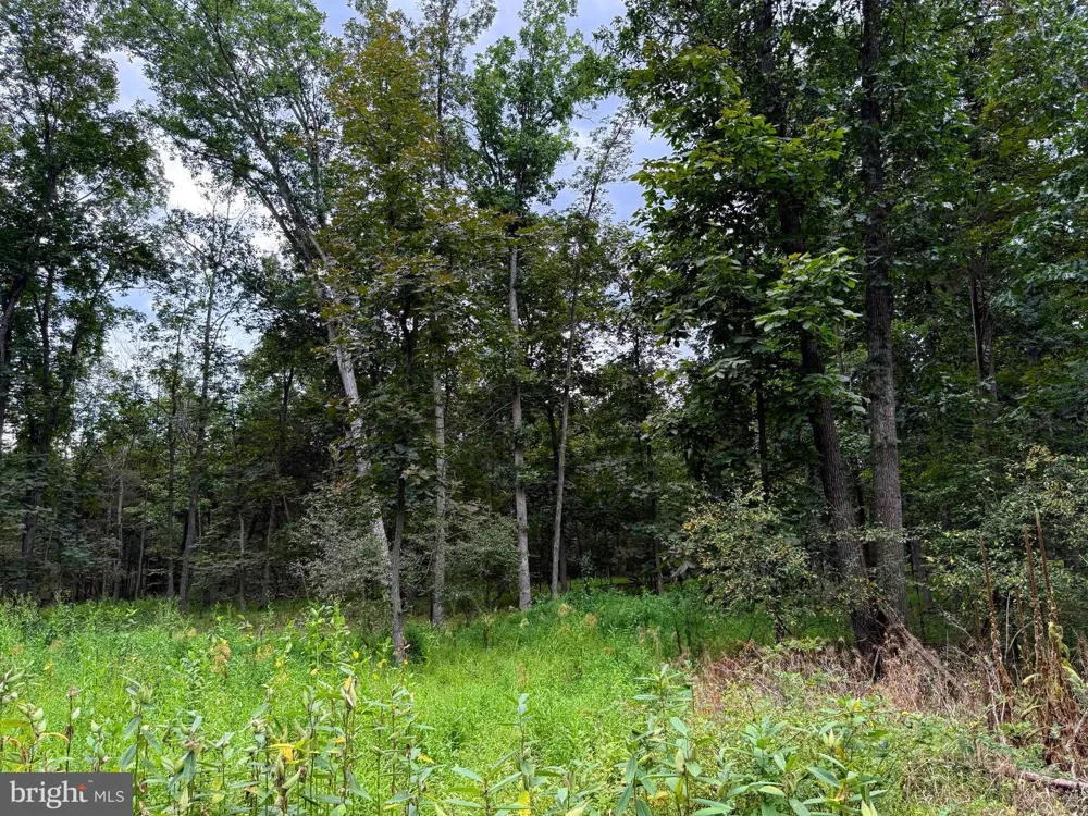 6859 US HIGHWAY 220 Old Fields, WV 26845