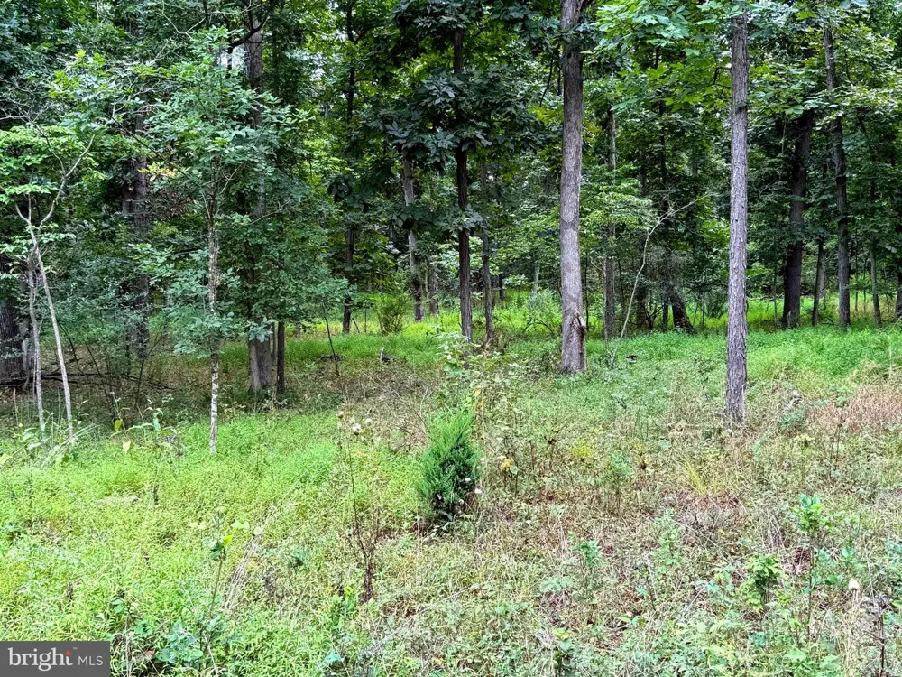 6859 US HIGHWAY 220 Old Fields, WV 26845