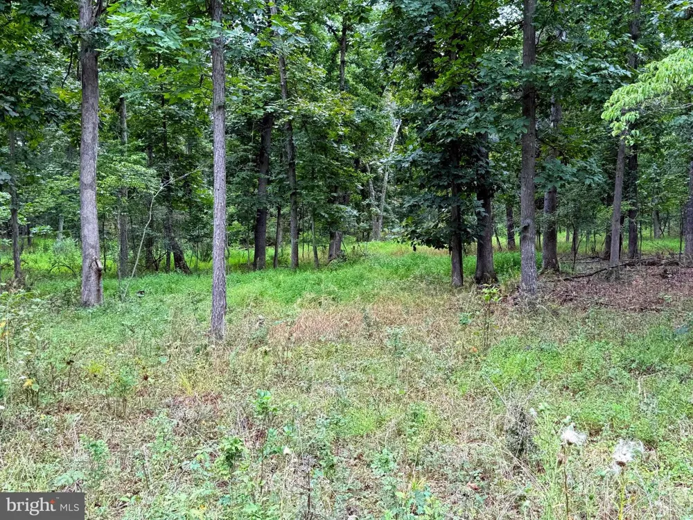 6859 US HIGHWAY 220 Old Fields, WV 26845