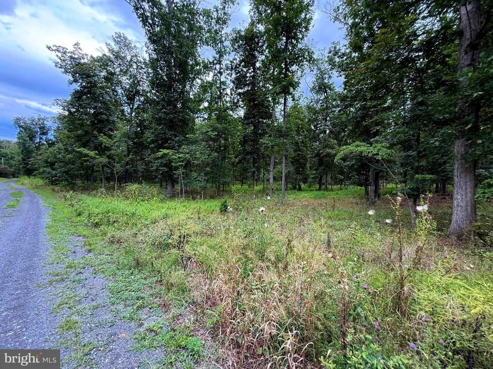 6859 US HIGHWAY 220 Old Fields, WV 26845