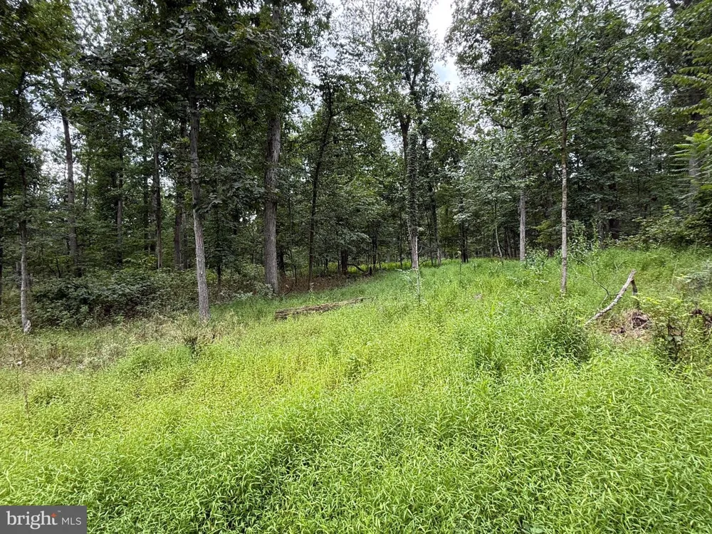 6859 US HIGHWAY 220 Old Fields, WV 26845