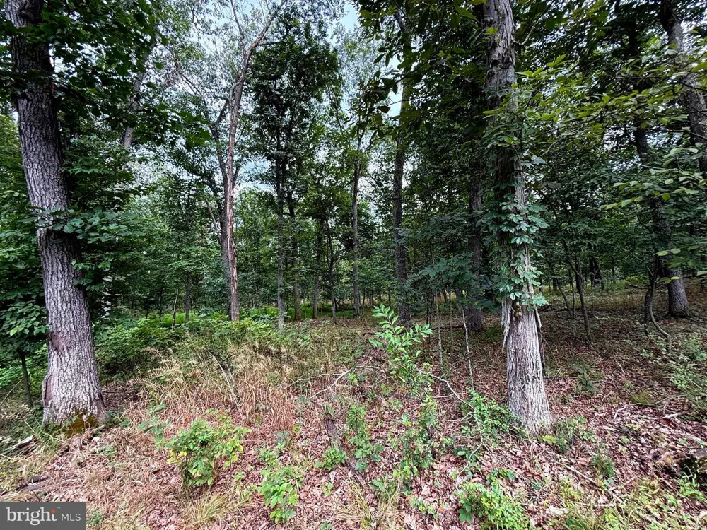 6859 US HIGHWAY 220 Old Fields, WV 26845